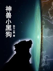 神兽小岛动画